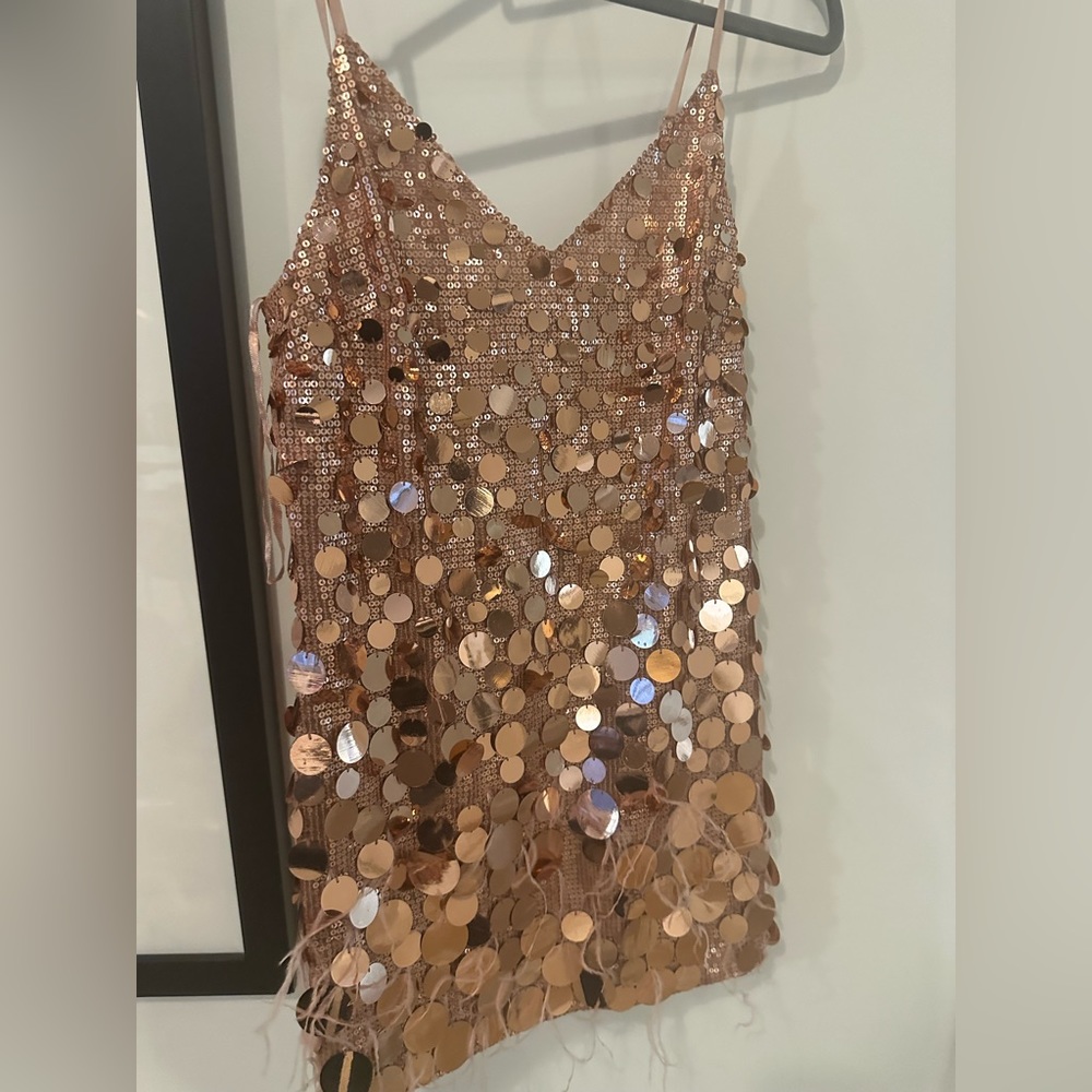 Ramy brook mini dress rose gold rina dress 2 nwt - Picture 5 of 13